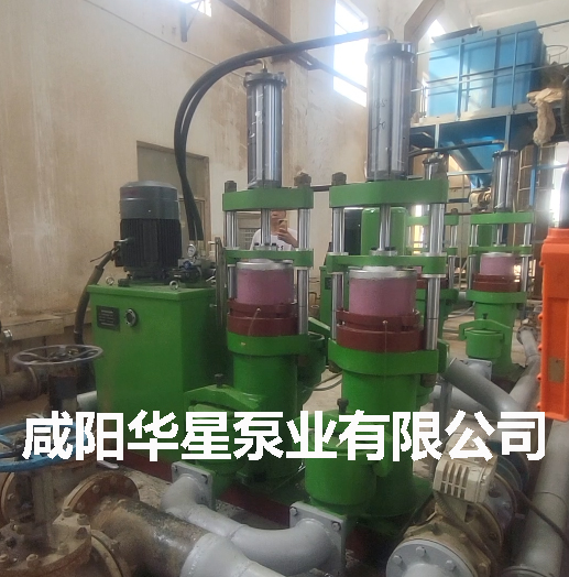 市政污水處理廠柱塞泵替換螺桿泵