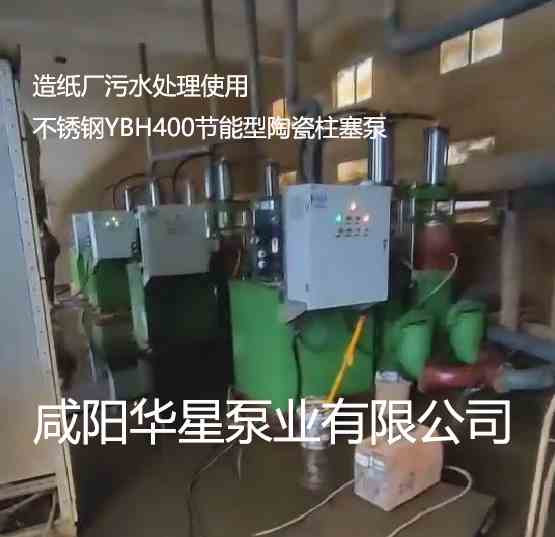 造紙廠污水處理使用不銹鋼YBH400節(jié)能型陶瓷柱塞泵 造紙廠污水處理使用不銹鋼YBH400節(jié)能型陶瓷柱塞泵