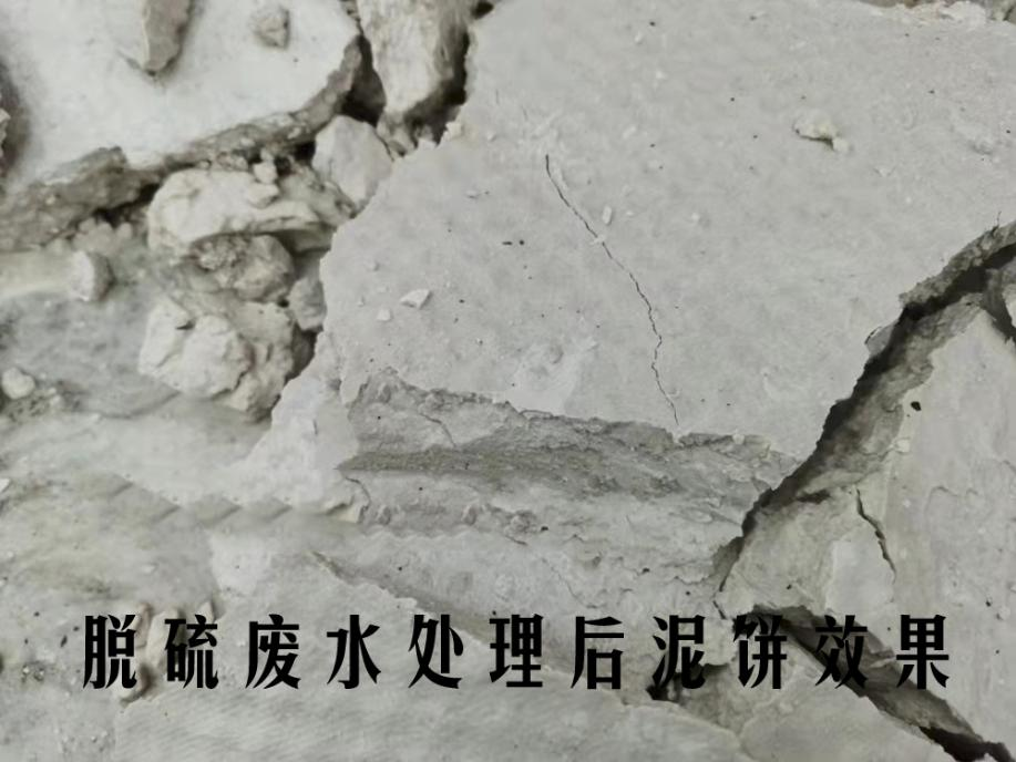 泥餅圖片2 泥餅圖片2